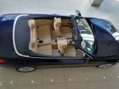 Bán BMW tại Huế - 428i mui xếp cứng