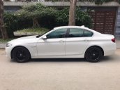 Bán BMW 5 Series 520i đời 2014, màu trắng