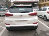 Cần bán xe Hyundai Tucson đời 2017, màu trắng, nhập khẩu, 960 triệu