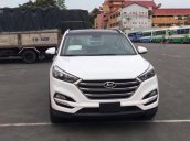 Cần bán xe Hyundai Tucson đời 2017, màu trắng, nhập khẩu, 960 triệu