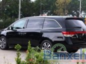 Bán xe Honda Odyssey đời 2016