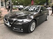 Bán BMW 5 Series 520i sản xuất 2014, màu đen, nhập khẩu nguyên chiếc