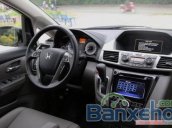 Bán xe Honda Odyssey đời 2016