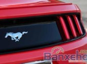 Cần bán xe Ford Mustang EcoBoost 2.3L đời 2014, màu đỏ