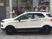 Bán xe Ford Ecosport 1.5 At Titanium 2017, giá rẻ xe giao ngay