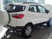 Bán xe Ford Ecosport 1.5 At Titanium 2017, giá rẻ xe giao ngay