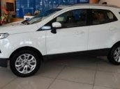 Bán xe Ford Ecosport 1.5 At Titanium 2017, giá rẻ xe giao ngay