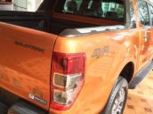 Bán xe Ford Ranger Wildtrak 2017, nhập khẩu, giá tốt nhất Sài Gòn