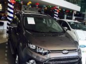 Bán ô tô Ford EcoSport Titanium 1.5 AT đời 2016 