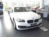 Cần bán BMW 5 Series 520i đ2017, màu trắng, nhập khẩu chính hãng