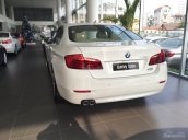 Cần bán BMW 5 Series 520i đ2017, màu trắng, nhập khẩu chính hãng