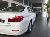 Cần bán BMW 5 Series 520i đ2017, màu trắng, nhập khẩu chính hãng