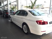 Cần bán BMW 5 Series 520i đ2017, màu trắng, nhập khẩu chính hãng