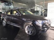 Bán xe BMW X4 xDrive20i sản xuất 2017, màu xám (ghi), xe nhập, giá rẻ nhất, giao ngay