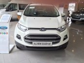 Bán Ford EcoSport Trend MT năm 2017, màu trắng