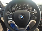 Bán BMW X6 xDrive35i 2017, màu nâu, nhập khẩu, ưu đãi giá cực sốc