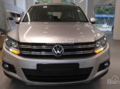Dòng SUV nhập Đức Volkswagen Tiguan 2.0l đời 2016, màu bạc, nhập Đức. Cam kết giá tốt - LH 0902.608.293