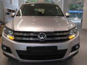 Dòng SUV nhập Đức Mạnh Mẽ Volkswagen Tiguan 2.0l, màu bạc, LH để nhận CTKM