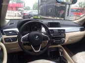 Bán xe BMW X1 sDrive18i 2017, màu đen, nhập khẩu Đức, ưu đãi sốc, giao xe theo yêu cầu