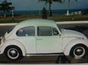 Chính chủ bán xe Volkswagen Beetle đời 1969, màu trắng 