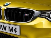 Cần bán BMW M4 đời 2017, màu vàng, nhập khẩu