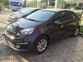 Cần bán Kia Rio đời 2017, màu ghi vàng  