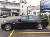 Cần bán BMW 5 Series 520i đời 2015, màu đen, nội thất đen, nhập khẩu Full Option giao xe ngay