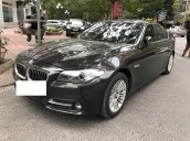 Cần bán BMW 5 Series 520i năm 2014, màu nâu Jatoba nội thất đen, nhập khẩu nguyên chiếc Full option