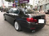 Cần bán BMW 5 Series 520i năm 2014, màu nâu Jatoba nội thất đen, nhập khẩu nguyên chiếc Full option