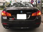 Cần bán BMW 5 Series 520i năm 2014, màu nâu Jatoba nội thất đen, nhập khẩu nguyên chiếc Full option