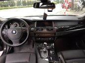 Cần bán BMW 5 Series 520i năm 2014, màu nâu Jatoba nội thất đen, nhập khẩu nguyên chiếc Full option