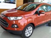 Rất nhiều ưu đãi dành cho Ford Ecosport Titanium 2018, màu đỏ sao hỏa tại An Đô Ford