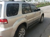 Bán xe cũ Ford Escape XLT đời 2009, màu bạc số tự động