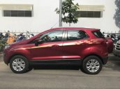 Bán xe Ford EcoSport Titanium đời 2016, 658tr