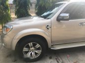 Bán ô tô Ford Everest đời 2011, màu ghi vàng