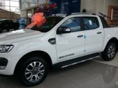 Bán xe Ford Ranger đời 2017, xe nhập khẩu, hỗ trợ tốt ngân hàng 85%