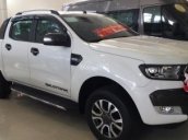 Bán xe Ford Ranger đời 2017, xe nhập khẩu, hỗ trợ tốt ngân hàng 85%