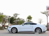 Cần bán lại xe Ford Mustang GT đời 2015, màu trắng, nhập khẩu chính hãng