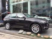 Bán BMW X5 xDrive 35i năm 2017, màu đen, nhập khẩu nguyên chiếc