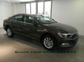 Volkswagen Passat E mới 100% - Sedan phân khúc D rộng rãi đến từ Đức - Quang Long 0933689294