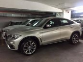 Cần bán xe BMW X6 xDrive 35i 2017, giá tốt