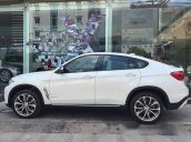 Bán xe BMW X6 xDrive 35i đời 2017, màu trắng, nhập khẩu nguyên chiếc