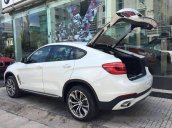 Bán xe BMW X6 xDrive 35i đời 2017, màu trắng, nhập khẩu nguyên chiếc