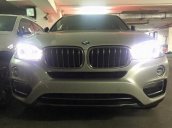 Cần bán xe BMW X6 xDrive 35i 2017, giá tốt