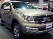 Bán xe Ford Everest 2.2L 4x2 AT Trend 2017, nhập khẩu nguyên chiếc, đủ màu. Hỗ trợ ngân hàng 80%, lãi suất thấp