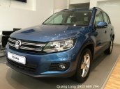 Tiguan 2.0 Turbo TSI - 4x4 4motion - Quang Long 0933689294