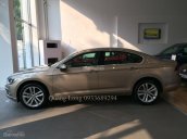 Bán Passat GP 1.8 TSI - AT 7 cấp DSG - Quang Long 0933689294