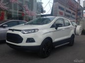 Bán Ford EcoSport đời 2017, màu trắng, giá cạnh tranh