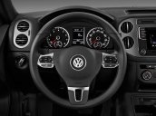 Bán Volkswagen Tiguan đời 2016, màu xám, nhập khẩu nguyên chiếc