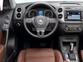 Cần bán Volkswagen Tiguan năm 2016, màu đỏ, nhập khẩu chính hãng